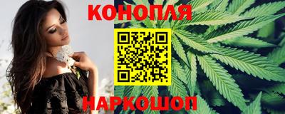 МДПВ Партизанск