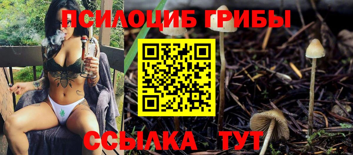 Псилоцибиновые грибы ЛСД Севастополь
