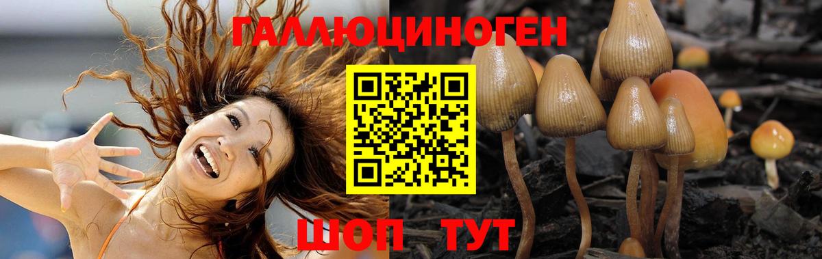 Галлюциногенные грибы Psilocybe  Вход с VPN  Севастополь 